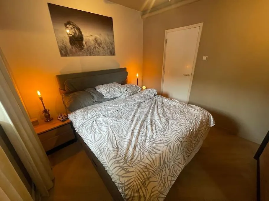 Luxe Appartement Bij Zuidas Met Tuin En Buitendouche Amsterdam Apartment